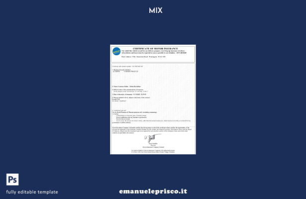 stile verificato Modello di certificato di assicurazione autoveicoli del Regno U